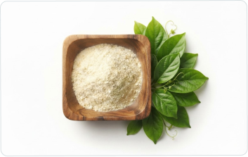Gymnema Sylvestre Extract